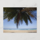 Recherche de mer des caraïbes cartes postales Nature