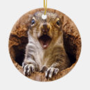 Zoek naar schoen ornamenten Meme