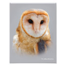Recherche de yeux de hibou posters Chouette