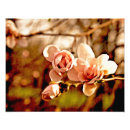 Recherche de vert chartreuse posters Floral