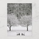Recherche de neige couverte cartes postales Forêt