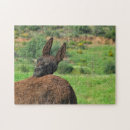 Recherche de âne puzzles Nature