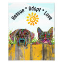 Recherche de adoption de chien posters Adopter ne pas acheter