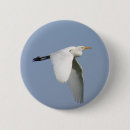 Zoek naar ooievaar buttons Vogel