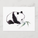 Recherche de peinture de panda cartes postales Aquarelle