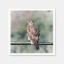 Recherche de queue serviettes Animal