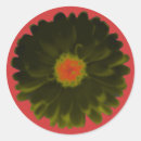 Recherche de marigold autocollants Plante