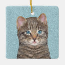 Zoek naar tabby cat ornamenten Katje