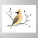 Recherche de houx art Aquarelle