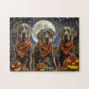 Zoek naar weimaraner puzzels Hond
