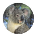 Recherche de koala planches à découper Marsupial