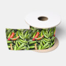 Recherche de poivron rubans Vert