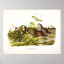 Recherche de plaines posters Image