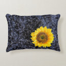 Recherche de provence coussins Lavande
