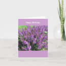 Recherche de lavendar vœux cartes Pourpre