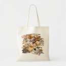 Recherche de coquillages sacs Côtier