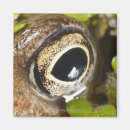 Zoek naar macro magneten Natuur