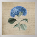 Recherche de parchment posters Floral