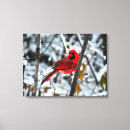 Recherche de cardinal painting toiles Neige