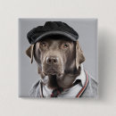 Recherche de chocolat labrador badges Canin