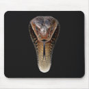 Recherche de cobra tapis souris Serpent