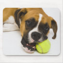 Recherche de balle tennis tapis souris Plan rapproché