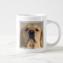 Recherche de grand nez tasses Chiot