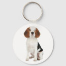 Recherche de beagles porteclés Hound