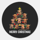Recherche de pull autocollants Noël drôle