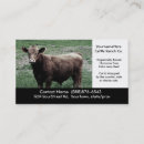 Recherche de vache brune cartes visite Bétail