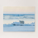 Recherche de neige puzzles Norway