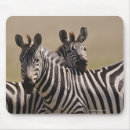 Recherche de masai mara tapis souris Faune