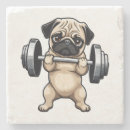 Recherche de exercice dessous de verres Levage