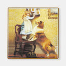 Recherche de berger shetland magnets Chien de berger