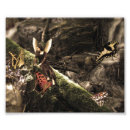 Recherche de mythique art Forêt