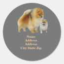 Recherche de pommie autocollants Pomeranian
