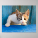 Recherche de soyez curieux posters Pour enfants