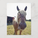 Recherche de gros nez cartes postales Animaux domestiques