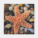 Recherche de nautique magnets Étoiles de mer