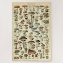 Recherche de mushroom puzzles Cottagecore