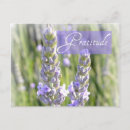 Recherche de gratitude cartes postales Floral