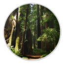 Recherche de arbre boutons et poignées de porte Forêt