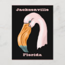 Zoek naar pink flamingo briefkaarten Flamingos
