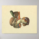 Recherche de organes humains posters Anatomie