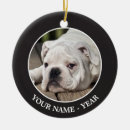 Recherche de chiot de bouledogue ornements Chien