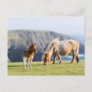 Recherche de îles shetland cartes postales Ranch