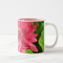 Recherche de fleurs de marguerite gerbera tasses Nature