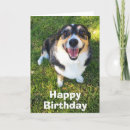 Recherche de photography vœux cartes Dog