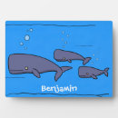 Recherche de baleine plaques Vie marine