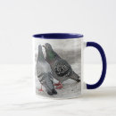 Recherche de pigeons tasses Mignon